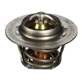 Raypak 006719F Unitherm Thermostat Governor Capron