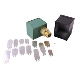 Raypak 007142F Industrial Flow Switch