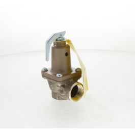 Raypak 007222F 3/4" Relief Valve 60 PSI 1,100,000 BTU/HR