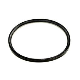 Lochinvar & A.O. Smith 100233597 Flue Gasket