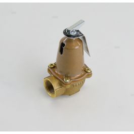 Xylem-Bell & Gossett 110127 Relief Valve 3/4" 125-PSI 2535000 BTUH