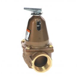 Xylem-Bell & Gossett 110135 Safety Relief Valve 1" 125-PSI 3735000 BTUH