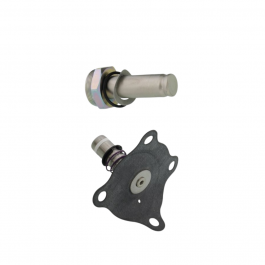 ASCO 302-350 Valve Repair Kit