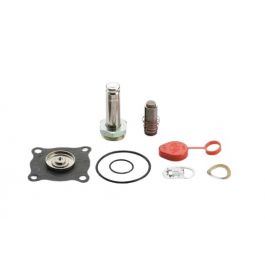 ASCO 302-376 Solenoid Valve Repair Kit