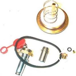 Asco 304-393 Solenoid Valve Repair Kit