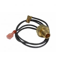 Raypak 600893B CO Auto Limit Switch 140°F