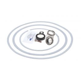 Raypak 950388F Seal Kit W/Gaskets