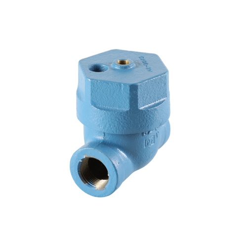 DriSteem 307076 3/4″ NPT Cast Iron Valve Assembly