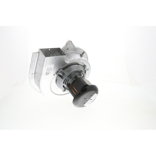 Fasco A184 Draft Inducer Motor, 115V, 1-Speed