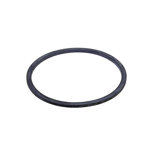 Xylem-Hoffman Specialty DG0092 Pump Head Gasket