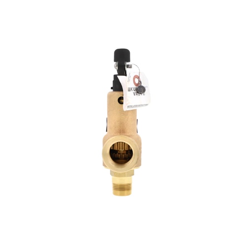 Kunkle Valve 6021EDT01AAM0150 3/4×1 150 PSI 1653 PPH Steam Relief Valve