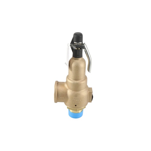 Kunkle Valve 6021JHT01AAM0050 2×2.5 50# 4260PPH Steam Relief Valve