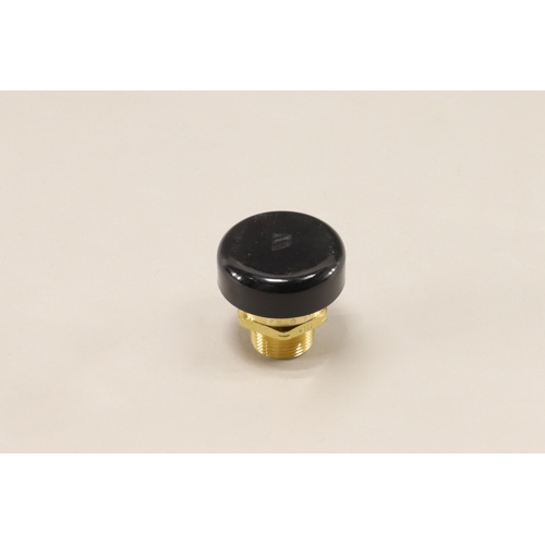 Watts 0556031 N36 3/4″ Vacuum Relief Valve for Water Service