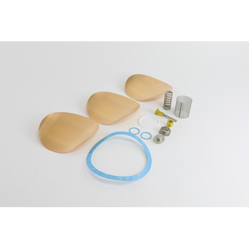 Watts 0875725 Repair Kit for 152A Pressure Reducing Valve 1.5″-2″