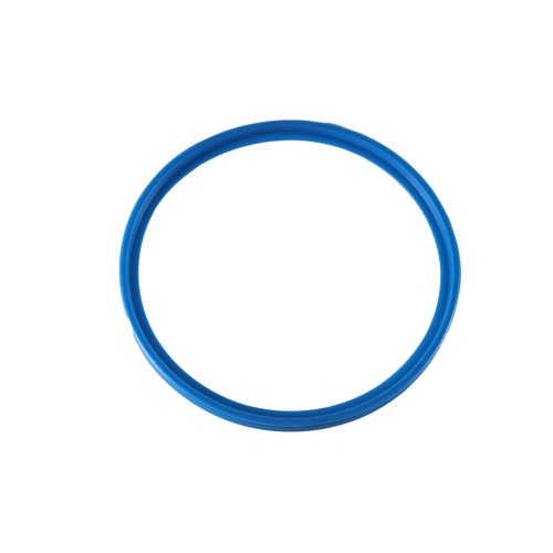 Weil McLain 590-318-004 Gasket Ring 100mm – Remeha 55915