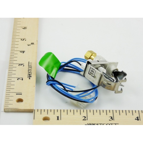 York S1-025-30860-000 Pilot & Ignitor Assembly