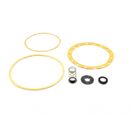 Spirax-Sarco CBP61 7/8" Seal Kit Type J