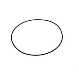 Xylem-Bell & Gossett CP-751-531-996 Casing O-Ring