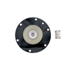 Dwyer Instruments DCD0050 2" Diaphragm Repair Kit