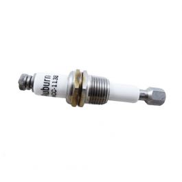 Auburn E5-WCC-1138-3 Liquid Level Electrode