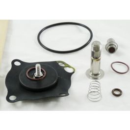 GC Valves KS211AF02V5FG9 Repair Kit With Viton Seat