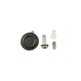 GC Valves KS711AF02N9FG9 Repair Kit