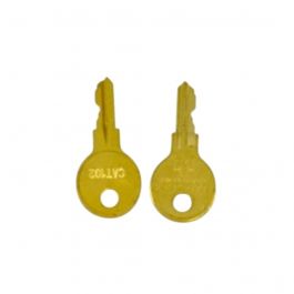 Johnson Controls PAN-ENCKYS Enclosure Lock Set of Keys 2