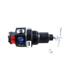 Watts R11-04C 1/2" Pressure Regulator 0-125 PSI