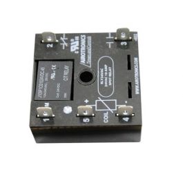 Laars Heating Systems R2006100 DPDT Relay 10A 24V