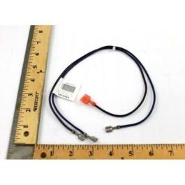 Trane WIR3345 Air Temperature Wire Harness 16"